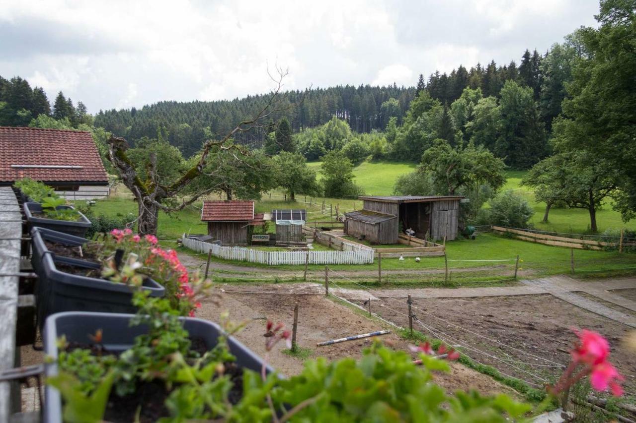Carlo Apartment Wangen im Allgäu Exterior foto